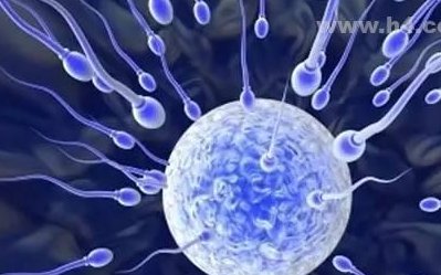 试管济南哪家医院好？建议首选考虑这几家