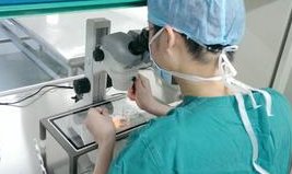 2026年甲减去海南慈铭博鳌医院做试管贵吗？大概要花费多少钱？