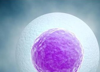 安徽哪个医院能做试管孩子？