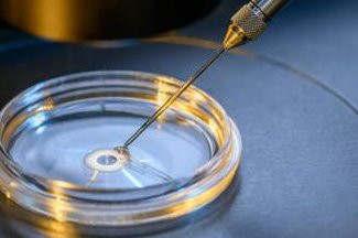 荆州有哪些医院能做试管婴儿，荆州做试管婴儿需要多少钱？