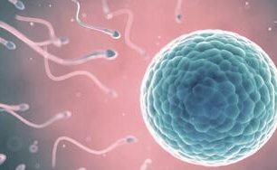 徐州正规试管婴儿助孕机构有哪些？费用情况如何？