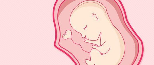 上海做试管大概费用多少钱？