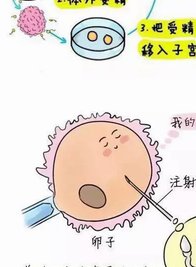 国内试管婴儿检查项目试管婴儿检查费用多少？